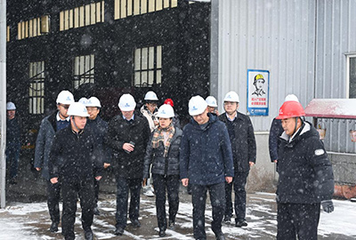 王艷茹深入大慶市龍鳳區民營(yíng)企業(yè)走訪(fǎng)調研